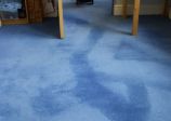 Carpet - After Dry Fusion
