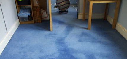Carpet cleaning services for homes and offices in Harrogate and Leeds areas
