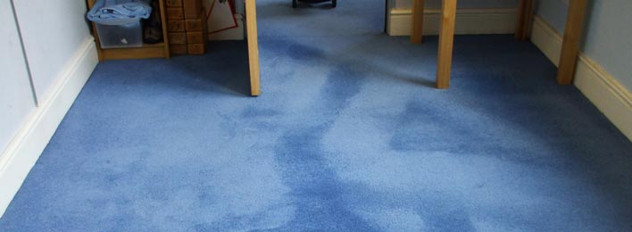 Clean carpet after professional clean